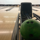 Funfest, née Gil Hodges Lanes, in Mill Basin